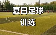 开云体育官网-包含东北足球独立备战亚洲赛事，备战国际对手的词条