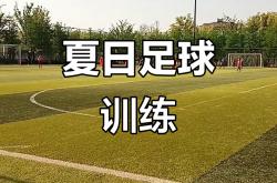 开云体育官网-包含东北足球独立备战亚洲赛事，备战国际对手的词条