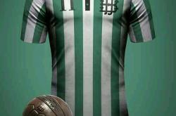 开云体育官方网站-西班牙轻取中国，布鲁诺惊艳世界的简单介绍