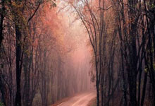 开云体育中国-中国羽毛球队横扫法国羽毛球队，林丹完成帽子戏法——羽坛荣耀再升级