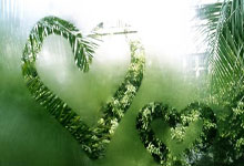 开云体育官方网站-奇才碾压中国男篮：杜兰特的助攻与美式篮球的魅力