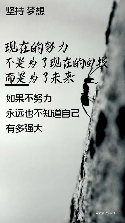 包含创造历史的背后是无数层层拼搏与努力的词条