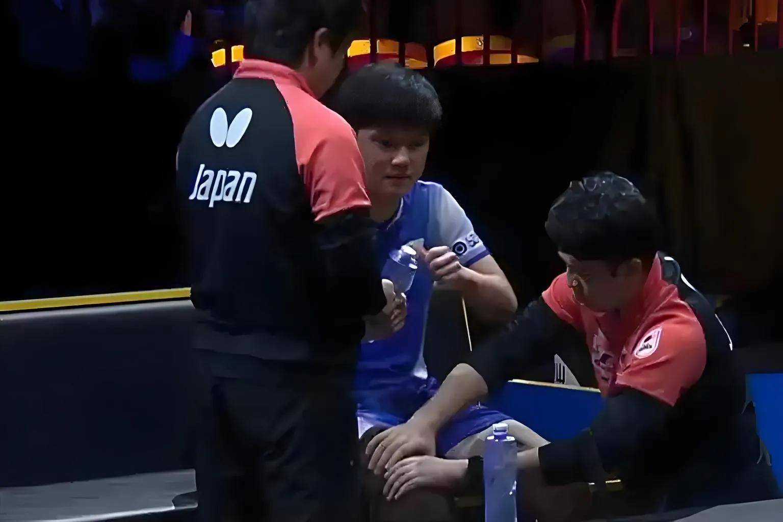 包含瑞典乒乓球队完胜波兰乒乓球队，许昕爆发神勇的词条