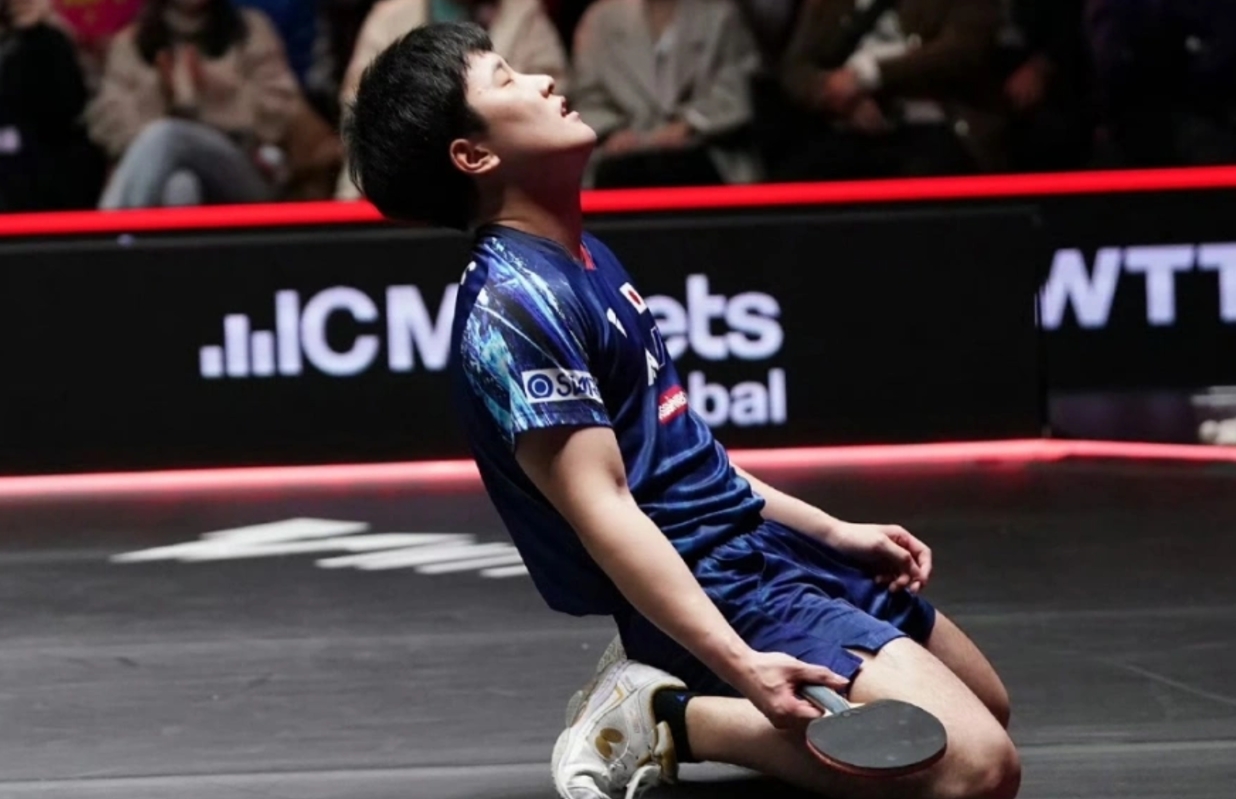 包含法国乒乓球队逆转德国乒乓球队，张本智和打破历史纪录的词条